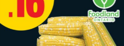 多伦多人涌入超市疯抢玉米, 垃圾堆爆! 华人阿姨一个举动圈粉