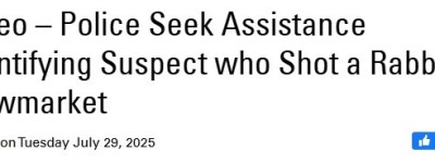 冷血！有人在约克区民宅前院枪杀兔子！全程被拍下！