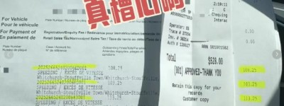 多伦多华人司机崩溃！家门口一个月交罚单500多刀！