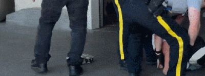 亚裔男子在Costco门口被抓! 被拷走时还背着包: 装得满满当当!