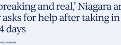 求助! 安省动物收容所突然爆满: 4天收76只猫, 全部遭人遗弃!