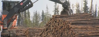 卡尼公布应对木材贸易战计划：新建50万套住房扩大内需