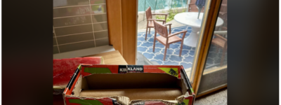 Costco耐用神器火了! 网友: 它陪我娶妻生子搬家, 用了近13年!