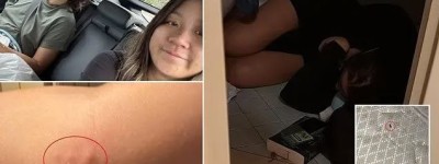 酒店惊魂！多伦多华裔女孩被咬至崩溃，庆生之旅成噩梦