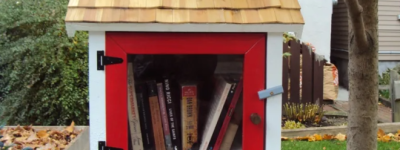 安省公园迷你图书馆惨遭破坏, 还被扔鸡蛋! 网友愤怒: 简直变态!