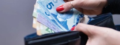 加拿大人可以利用的合法调查网站，赚点小钱