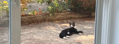 从大厂到加拿大，悟到的一个关键：努力根本不重要