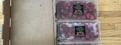 来加拿大这一年, 慢慢适应…