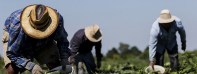 临时外籍工人在加拿大被拖欠6万元工资，赢了官司却也拿不到钱