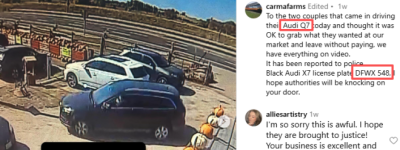 正脸+车牌曝光! 一群小偷开奥迪Q7横穿大多伦多, 洗劫多家农场!