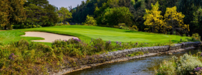 沦陷! 大多华人区2家高球场遭劫: 多人钱包被盗! 印度男四处翻包!