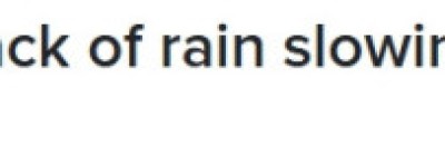 热坏了！多伦多鲑鱼洄游受阻，高温少雨让鱼儿”卡在路上”！