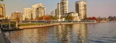 突发！温哥华市中心海堤三人遭无端刺伤 女嫌犯在逃