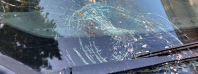 加国女子开车挡风玻璃突然被砸坏 竟然飞来一条鱼？