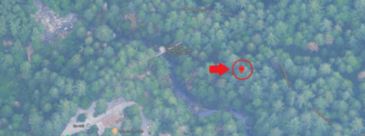 大温网红林恩峡谷公园游客坠落30米后幸存寻找目击者