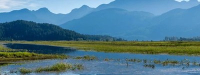 生态宝藏！大温这“特殊公园” 首次向公众开放