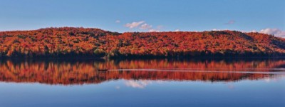 51网“枫情万种”投票开始啦！一等奖的亚马逊礼品卡将花落谁家呢？