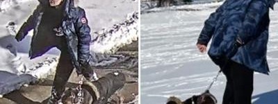 多伦多女子纵犬咬伤9岁男童逃之夭夭或面临三年监禁，当庭流泪