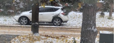 多伦多冬天的第一场雪后，家门口蹲了一个侦探！