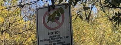 华人网友爆料：三文鱼产卵地有人违法捕鱼实在是触目惊心