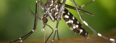 加拿大针对中国等国家发出最新旅游警告：有感染风险