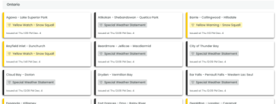 50cm暴雪! 安省狂发38条天气警报! 大多伦多70km狂风+体感-19°C