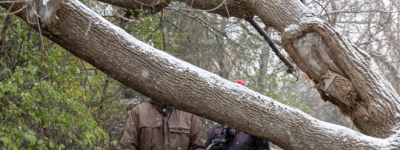 一位44岁联邦政府公务员打算明年退休：财务专家怎么说？