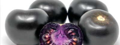 吃惊！加国超市明年可能开卖紫色西红柿