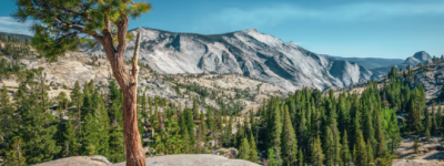 下周开始加拿大人游览美国国家公园将需支付3倍的费用