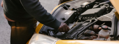 加国寒冬奇遇：小动物钻进汽车引擎盖取暖 吓坏女车主