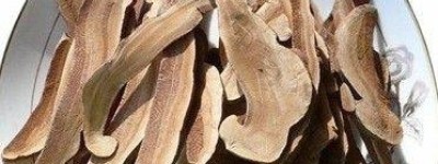 灵芝真的能防癌抗癌吗？