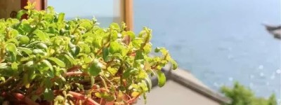 11个最美的古村古镇，适合小住几日，看山、看水、晒太阳！