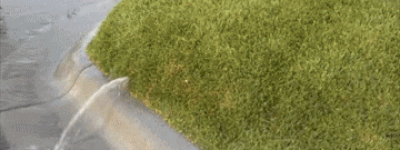 内蒙草皮突然鼓起大包，里面还在喷水，网友发现不对劲赶紧拍视频