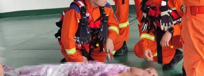 男子喝了一斤多白酒后坠入黄浦江，多位消防员协力成功施救