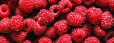 營養學家：最能幫助減肥的水果｜天下雜誌
