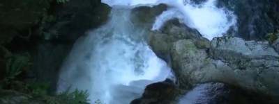 大溫熱門地跳崖可能致命   導致250 人死亡