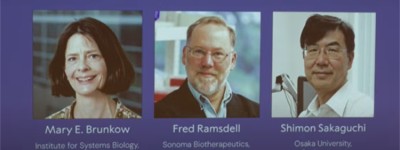 美日三名學者獲諾貝爾醫學獎 表揚研究外周免疫耐受