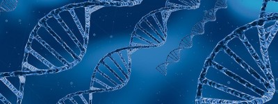《自然》：首次全基因组关联分析发现“长新冠”也有易感基因