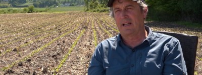 魁北克省農學家對企業干預科研的揭露屬實：公民保護專員報告結論