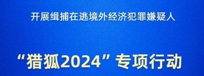 新华社权威快报｜公安部部署“猎狐2024”专项行动