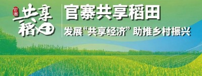 云南丘北：创新打造“共享稻田”，激发乡村富农新活力