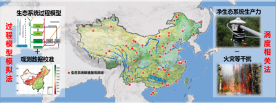 中国的陆地生态系统，到底能吸收多少二氧化碳？ | 格致论道讲坛