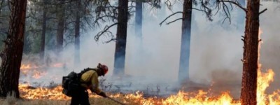 美加州野火蔓延近4000英亩：数千人紧急撤离