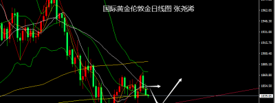 张尧浠：通胀再生担忧预期、黄金承压走低依托趋势线看涨