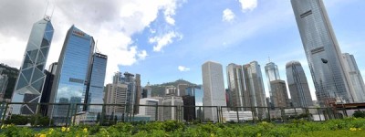 全力筹划推动香港未来发展