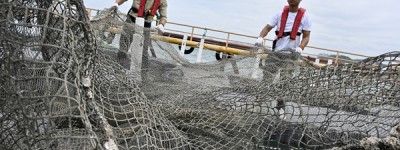 现代化养殖 渔业添动力
