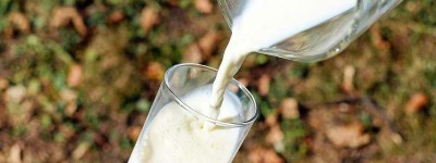 研究：美国五分一零售牛奶样本含禽流感病毒碎片