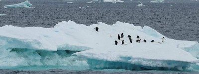 研究：南极深海洋流放缓 深海含氧量降低