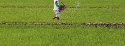 菲总统小马可斯拒绝降低大米进口关税