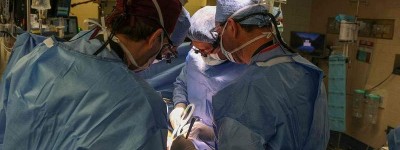 世界首例 美国医生将猪肾移植入患者体内